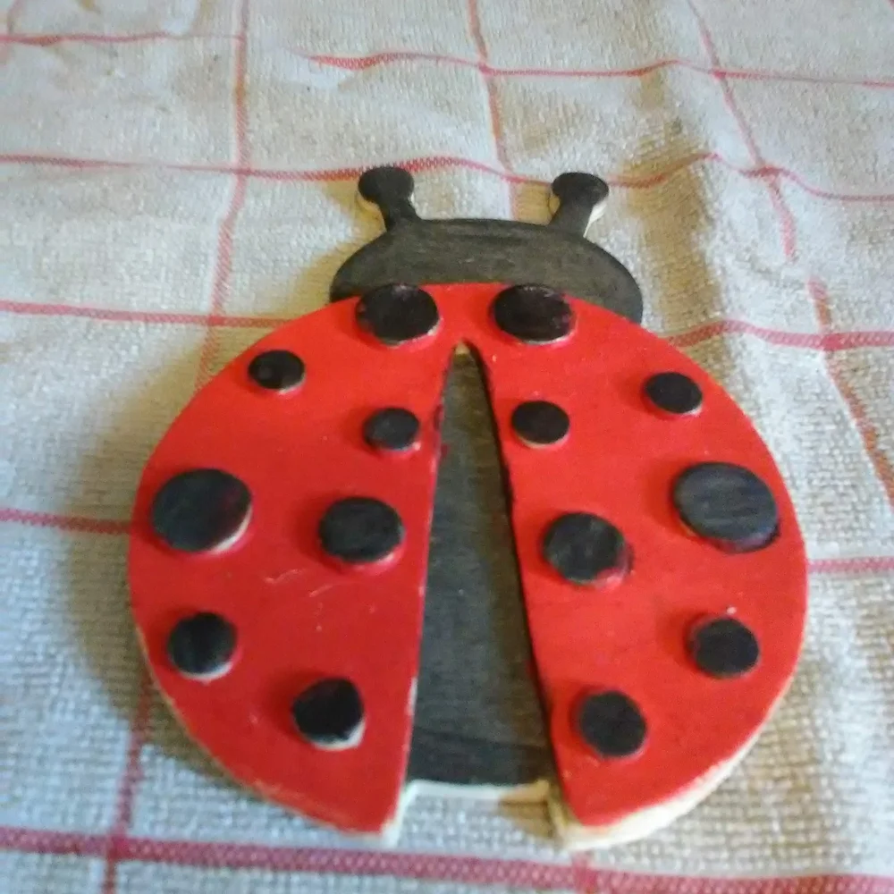 Red and Black Ladybug Decor